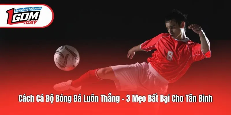 Cách Cá Độ Bóng Đá Luôn Thắng - 3 Mẹo Bất Bại Cho Tân Binh